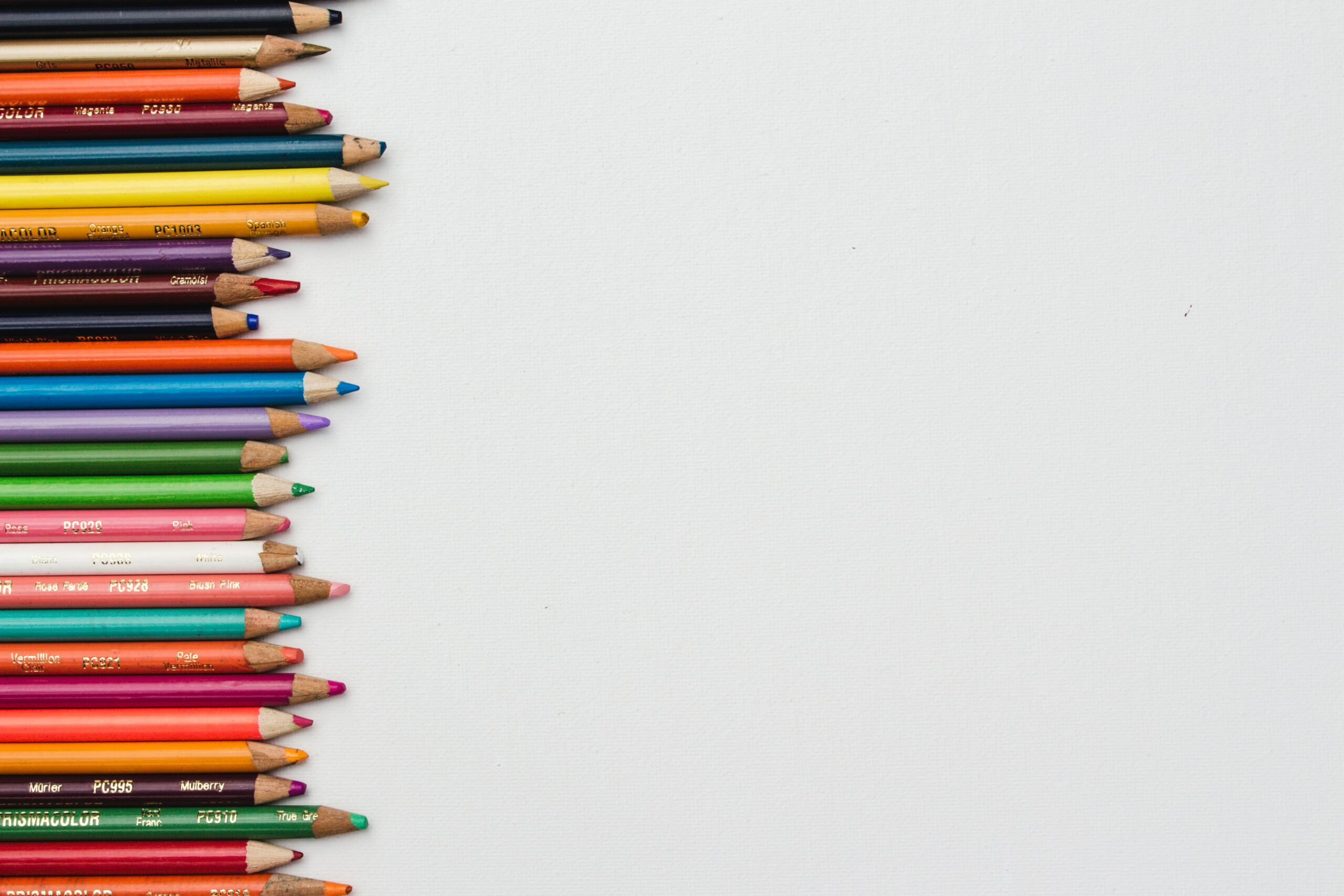 Understanding IEPs vs. 504 Plans: Key Differences Every Parent Must Know